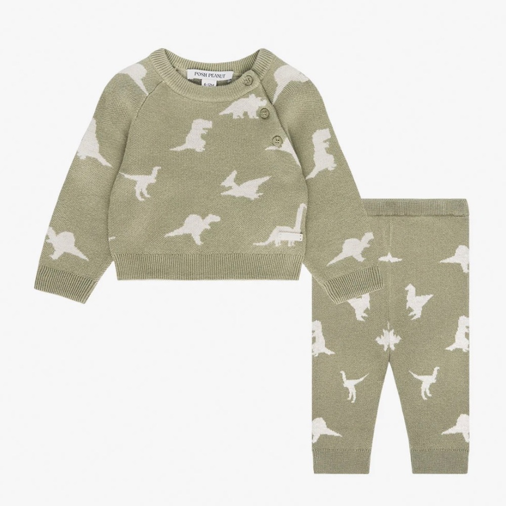 Posh peanut 2 piece dinosaur set: 18-24 months